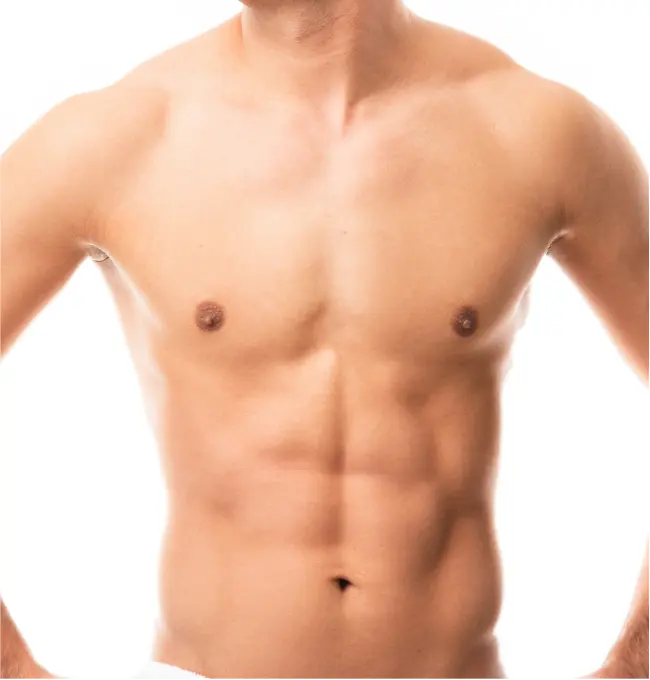 Abdomen